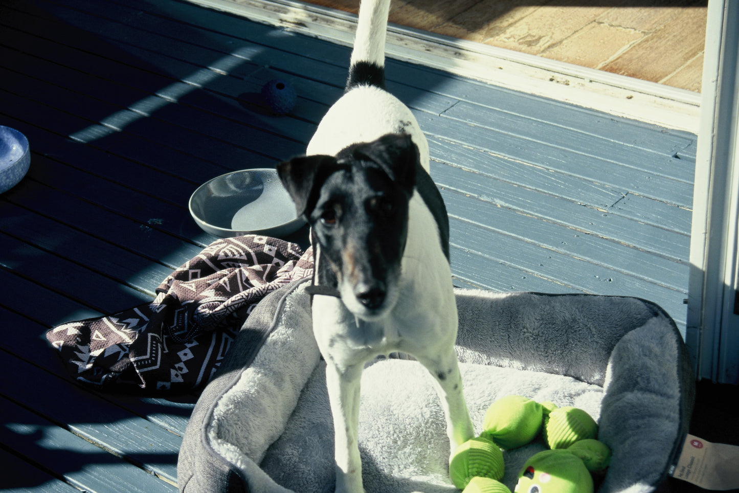 FilmNeverDie Chameleon 100 E6 Slide Film (35mm, 36 exp.)