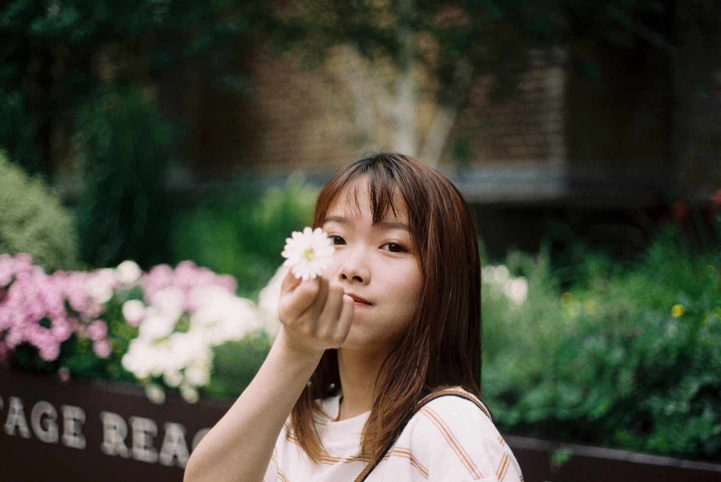 Canon AE-1 SLR with Canon FD 50mm f/1.4 Lens - 5440671