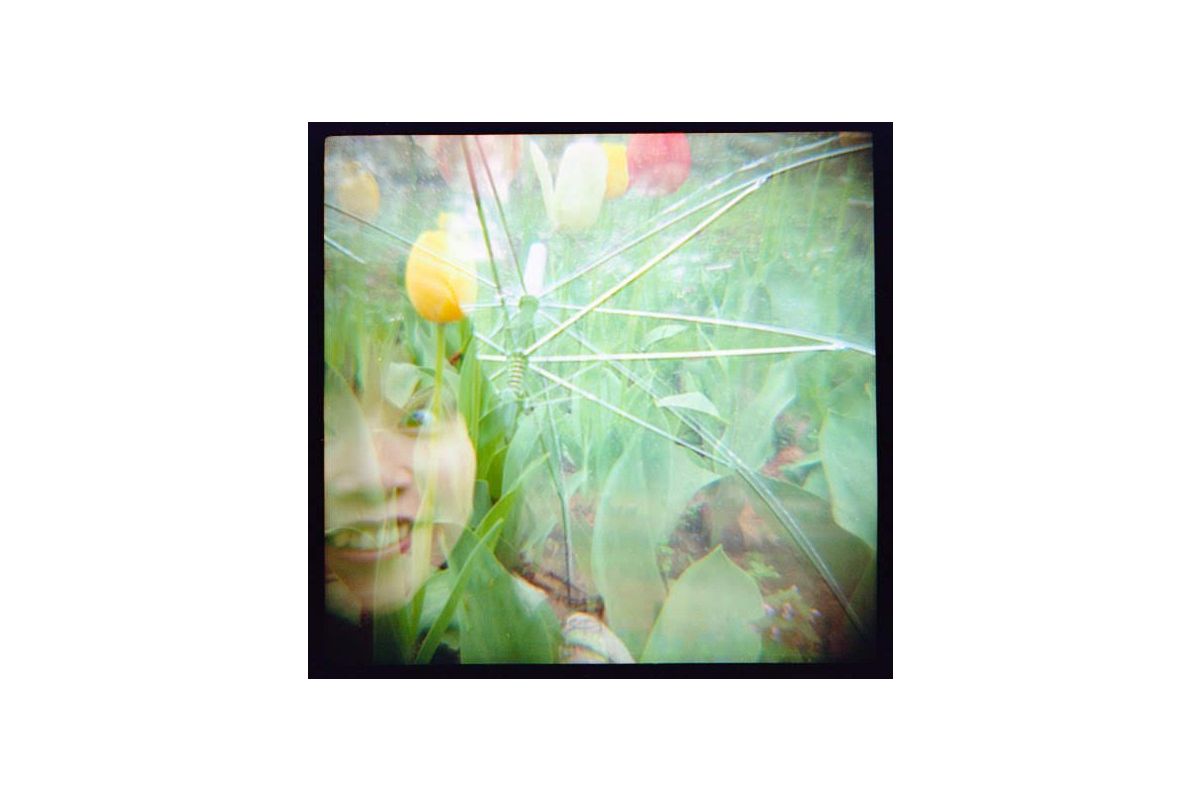 Lomography Color Negative 120 Film ISO 800