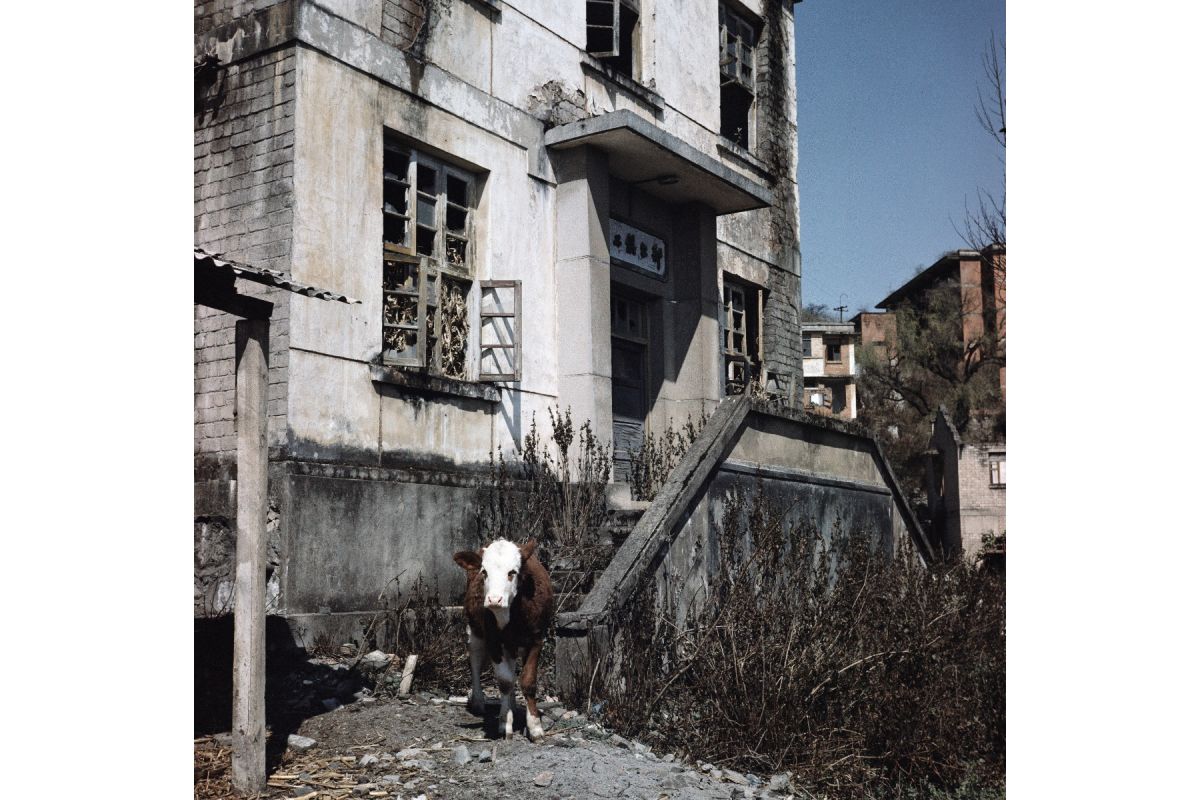 2021 LomoChrome Metropolis 120 Film ISO 100–400