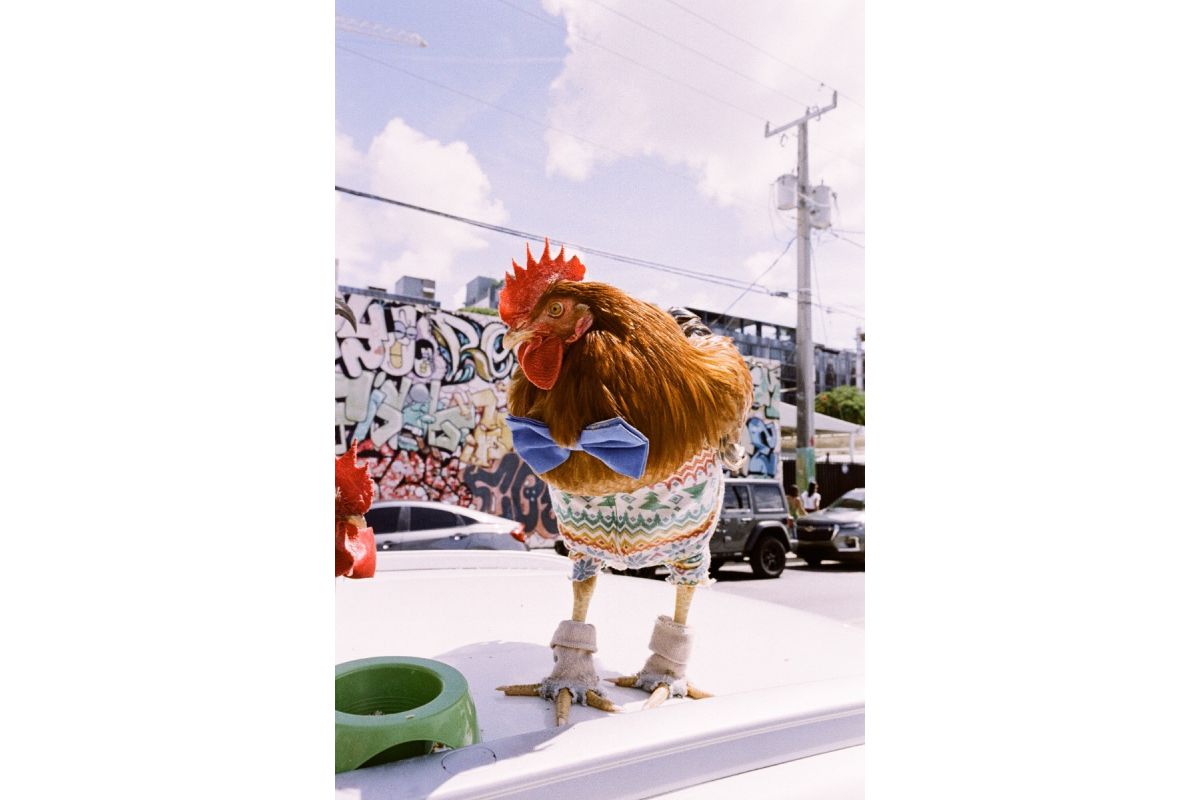 LomoChrome Metropolis 110 Film ISO 100–400