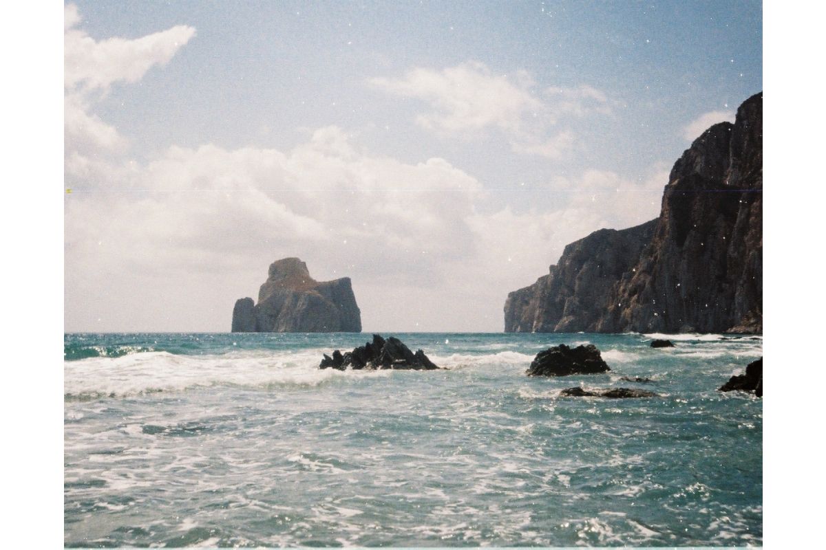 Lomography Color Tiger 110 Film ISO 200