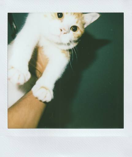 Instax Square SQ 1 (white)