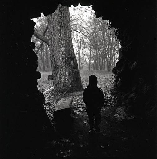 Ilford Delta 400 Black & White Film (120)