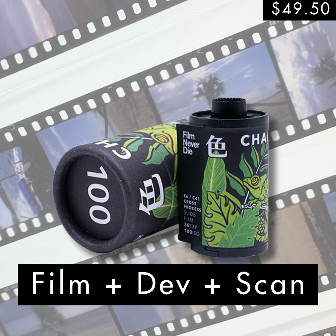 E6 special - Film + Dev + Scan