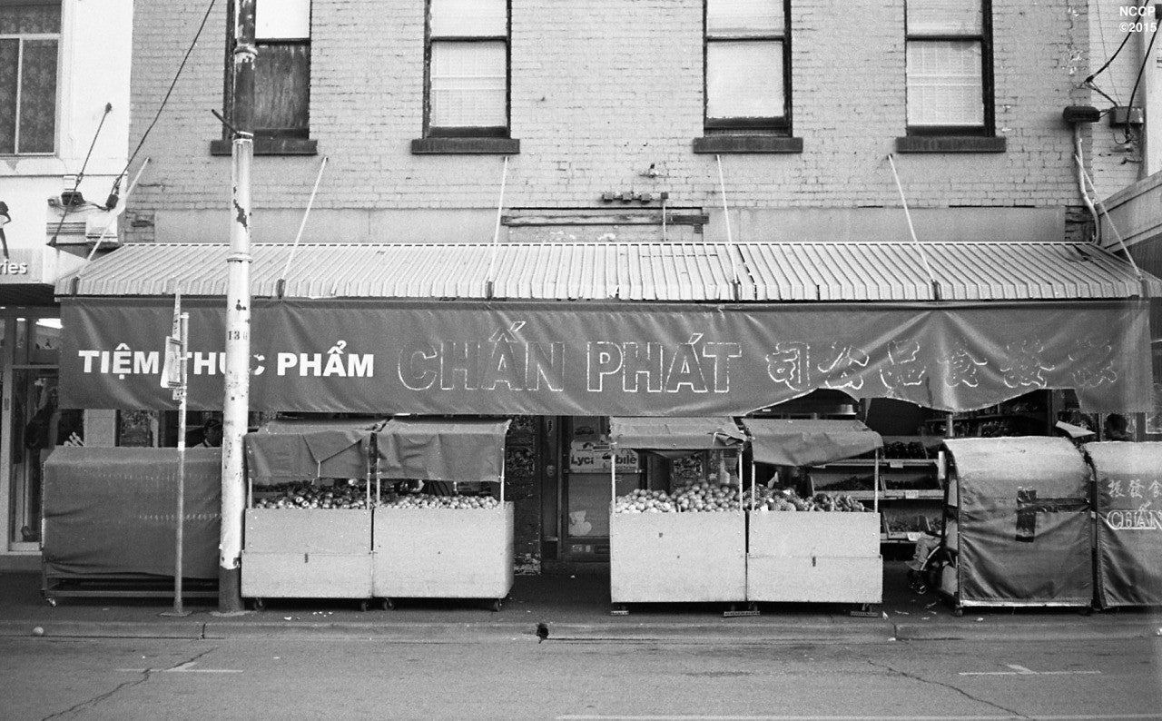 FilmNeverDie Nana Camera 35mm + 4 Rolls of Film