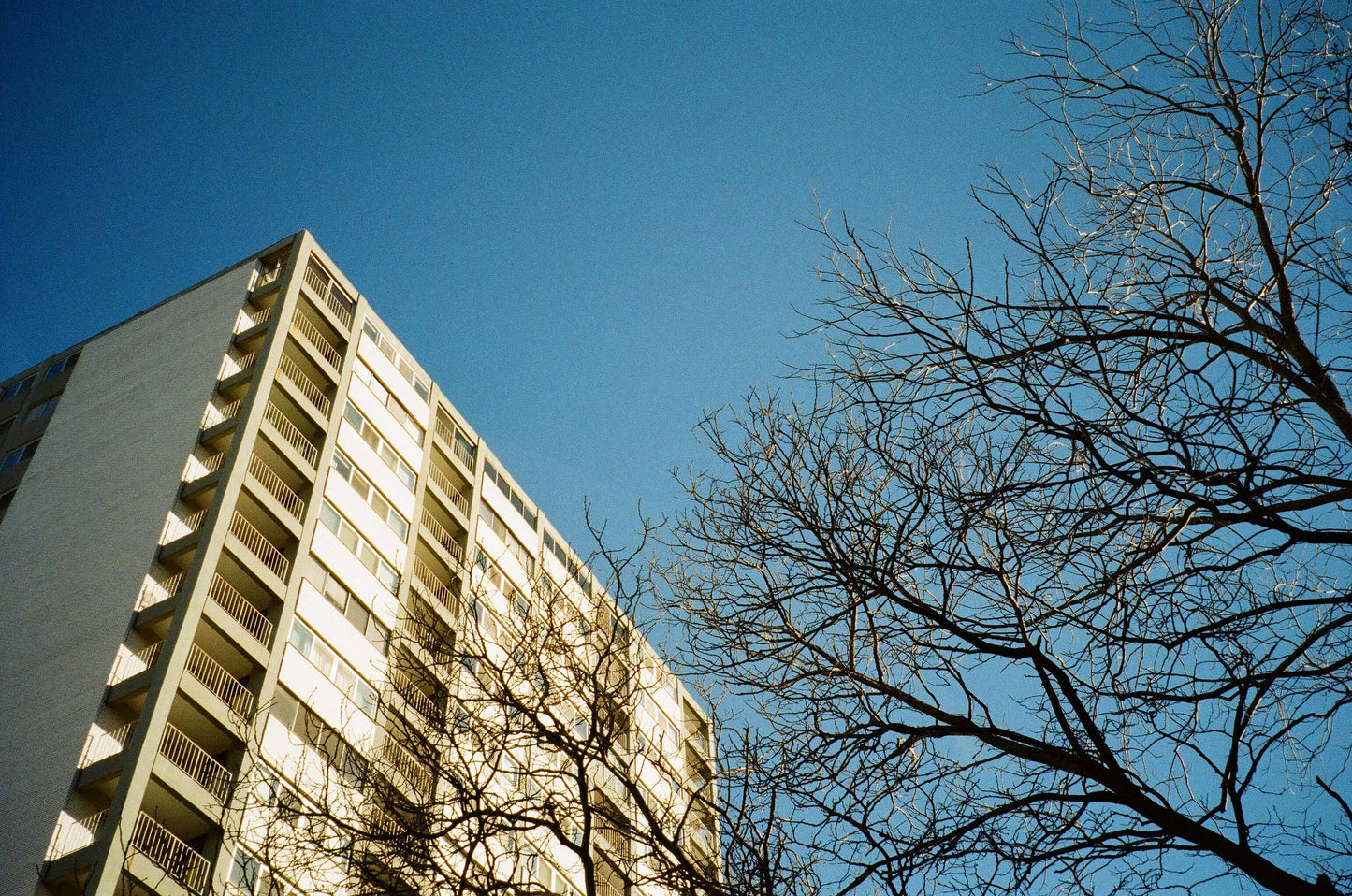 Nikon Lite Touch Zoom 105 AF 35mm Point & Shoot Camera with 38-105mm - 6010543