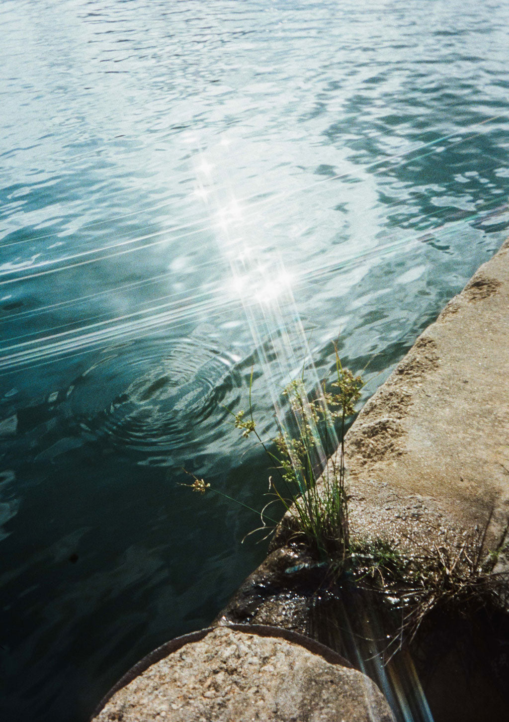 Kodak Ektar H35N Half Frame Camera
