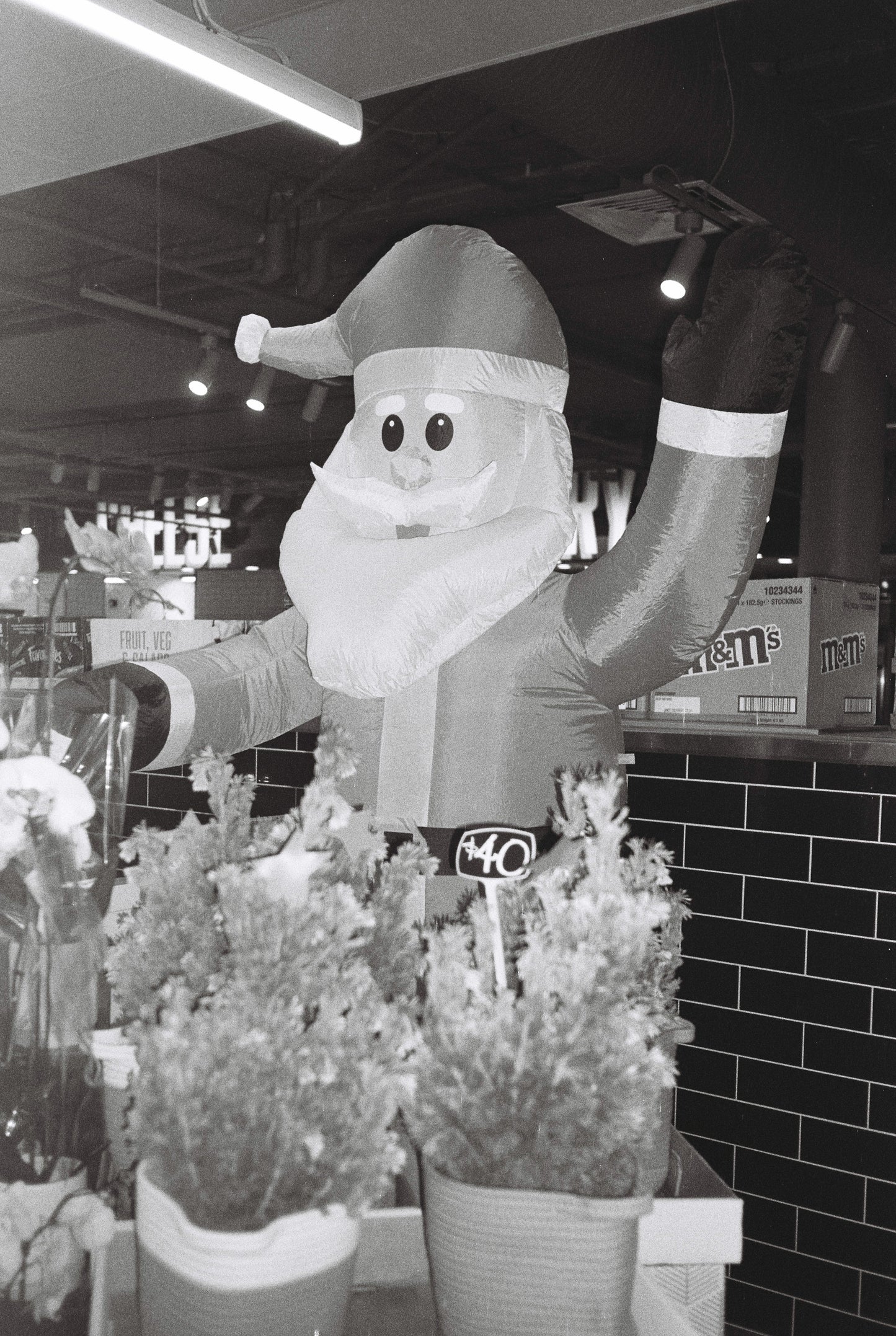 FilmNeverDie KURO 100 (35mm, 36 exp.)