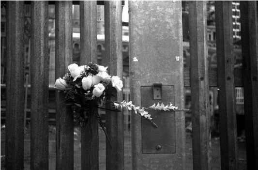 Ilford HP5 Plus 400 Black & White Film (35mm 36 exp)