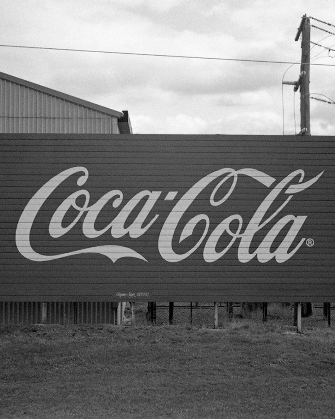 Kodak T-MAX 100 (100TMAX) B&W (35mm, 36. exp)