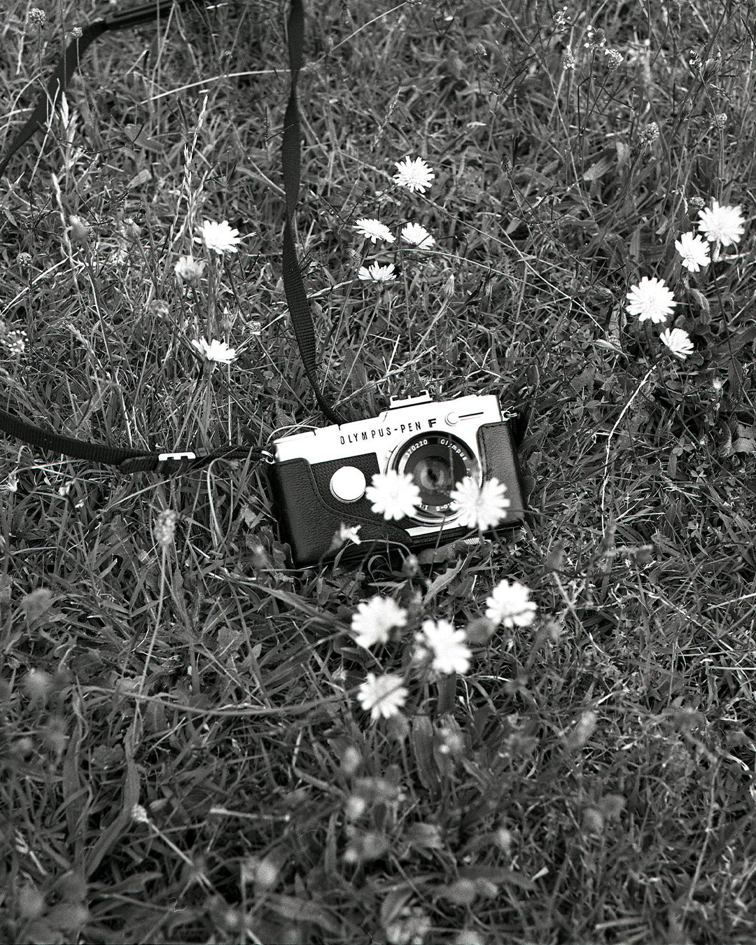 Kodak T-MAX 400 (400TMAX) B&W (35mm, 36 exp.)