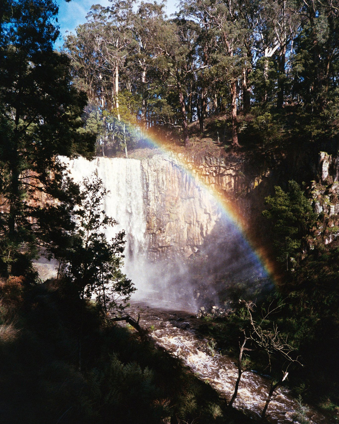 Kodak Ultramax 400 Colour Negative Film (35mm, 36 exp.)