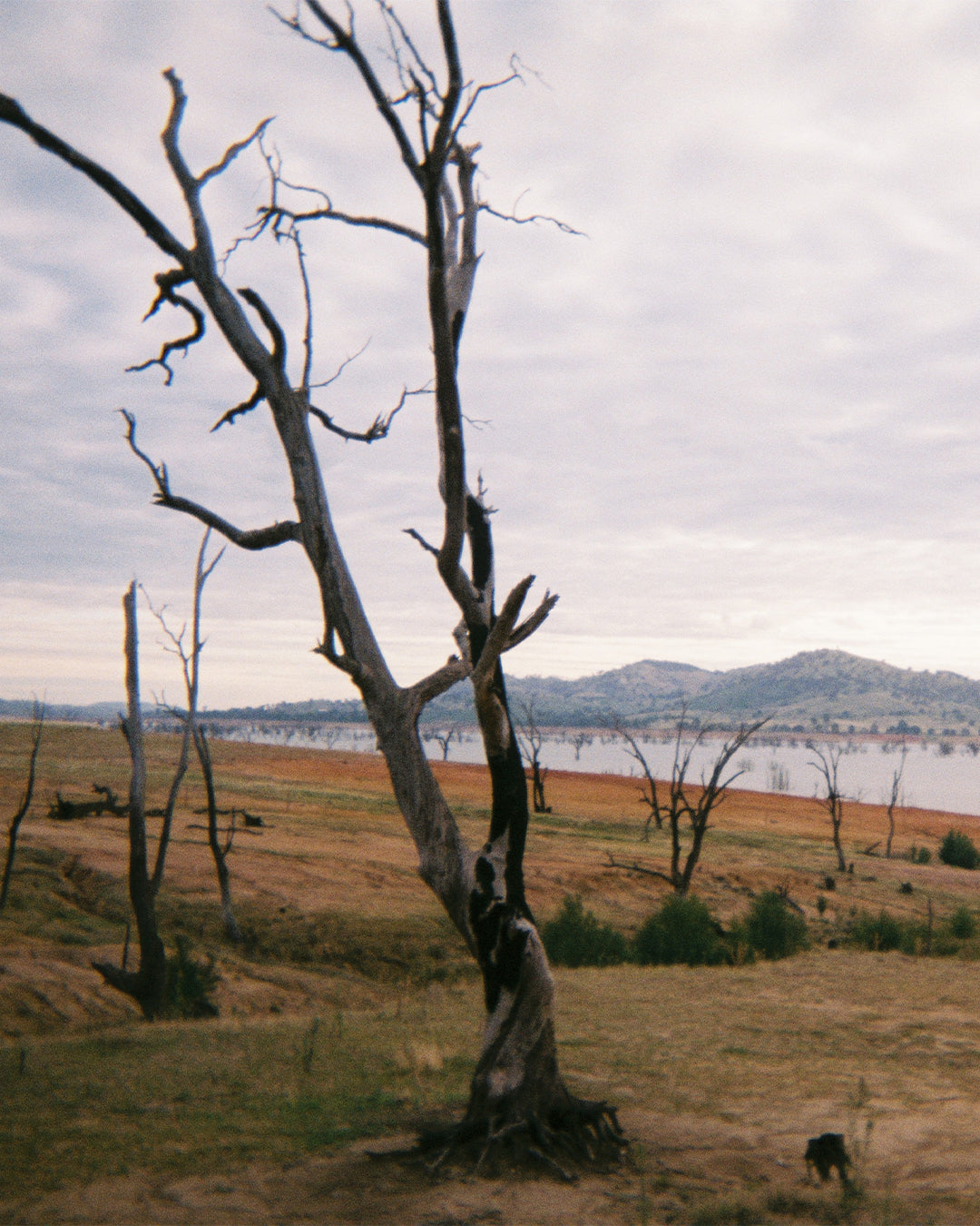 Fujifilm Simple Ace 400 Single-Use Camera (35mm, 27 exp.)
