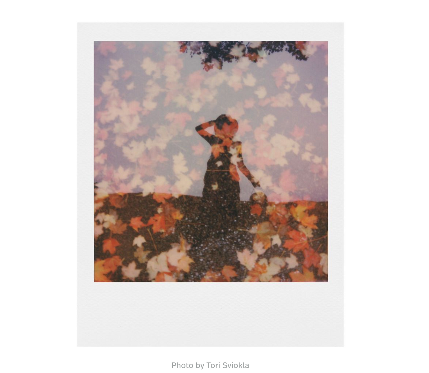 Polaroid Originals i-Type Colour Instant Film - naked series