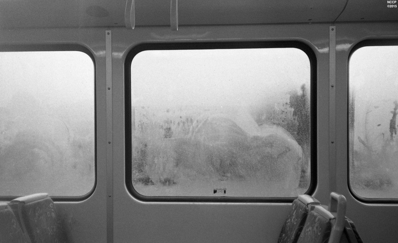 Ilford HP5 Plus 400 Black & White Film (35mm 36 exp)