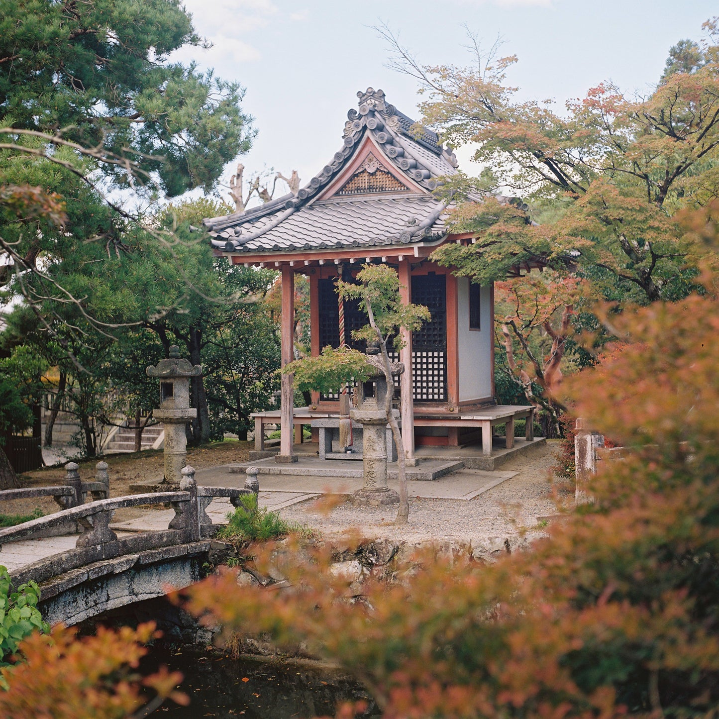 Kodak Portra 800 Colour Negative Film (120)