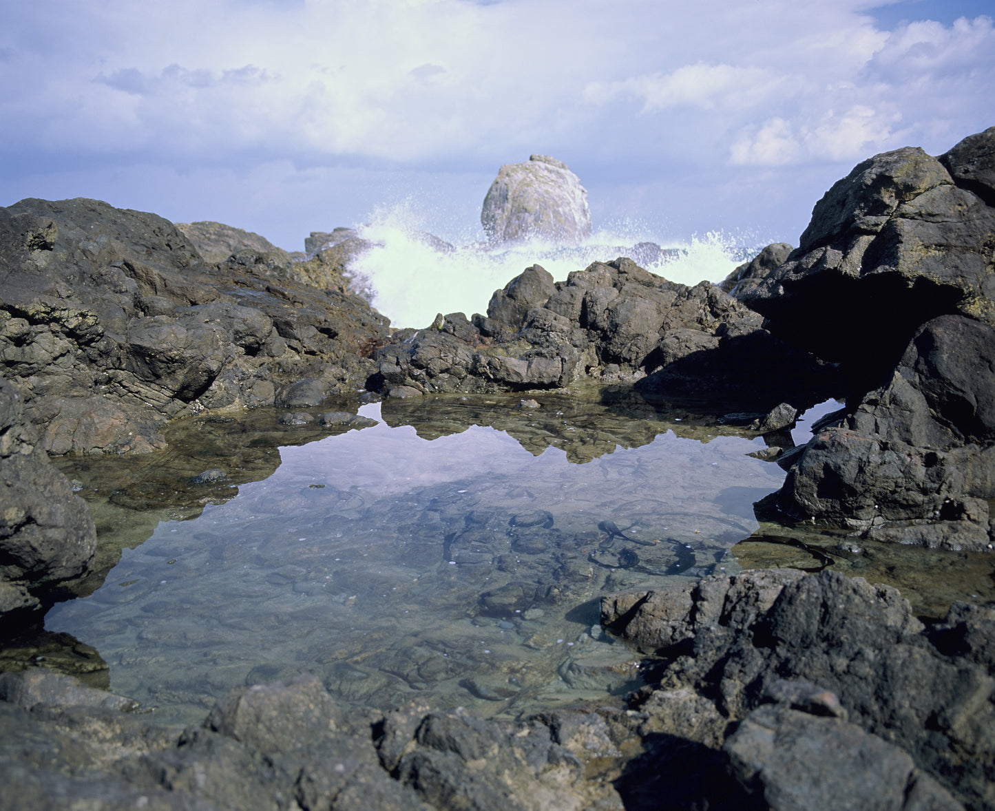 Kodak Ektachrome E100 Colour Positive Film (120)