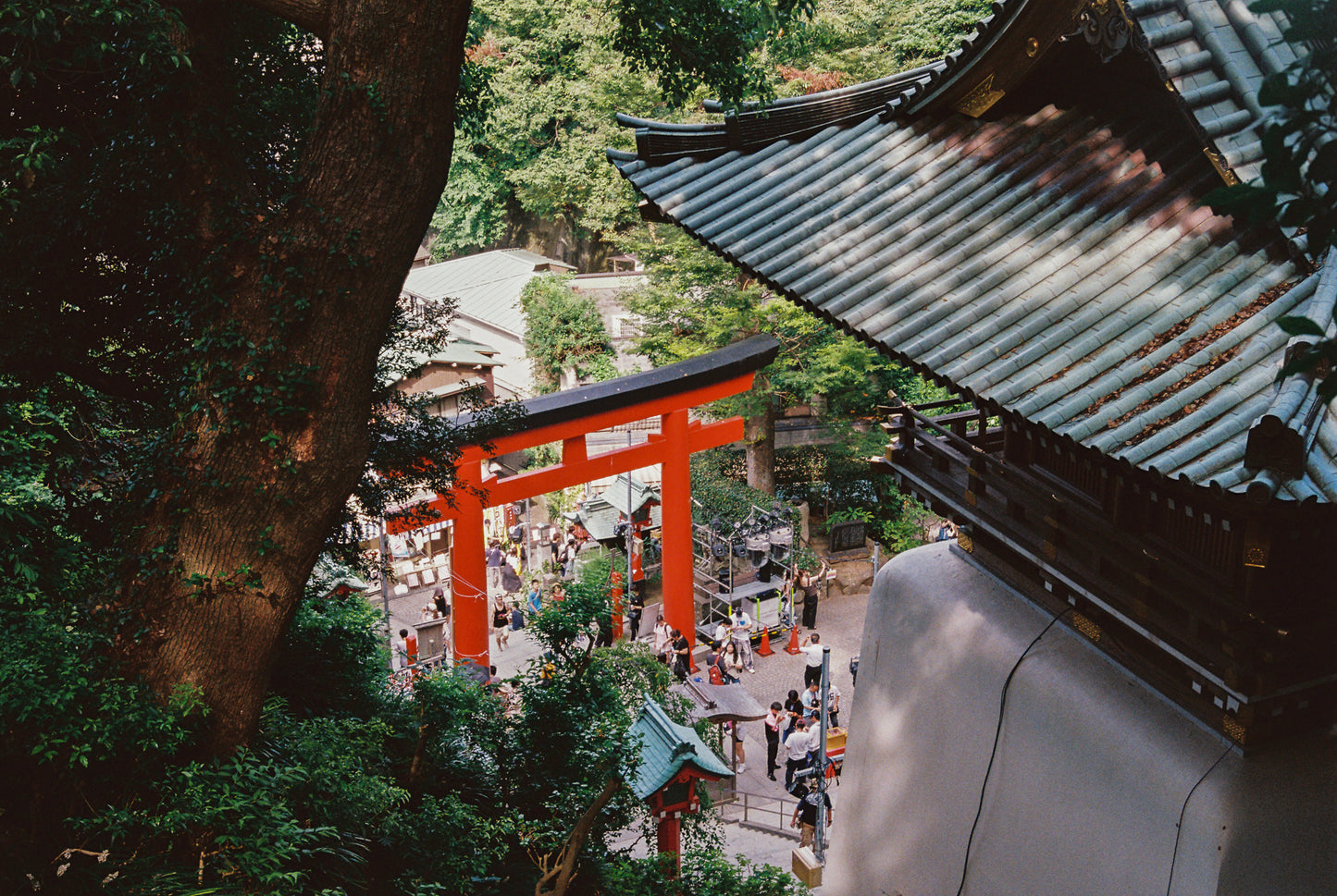 Fujifilm 400 Colour Negative Film (35mm, 36exp.)