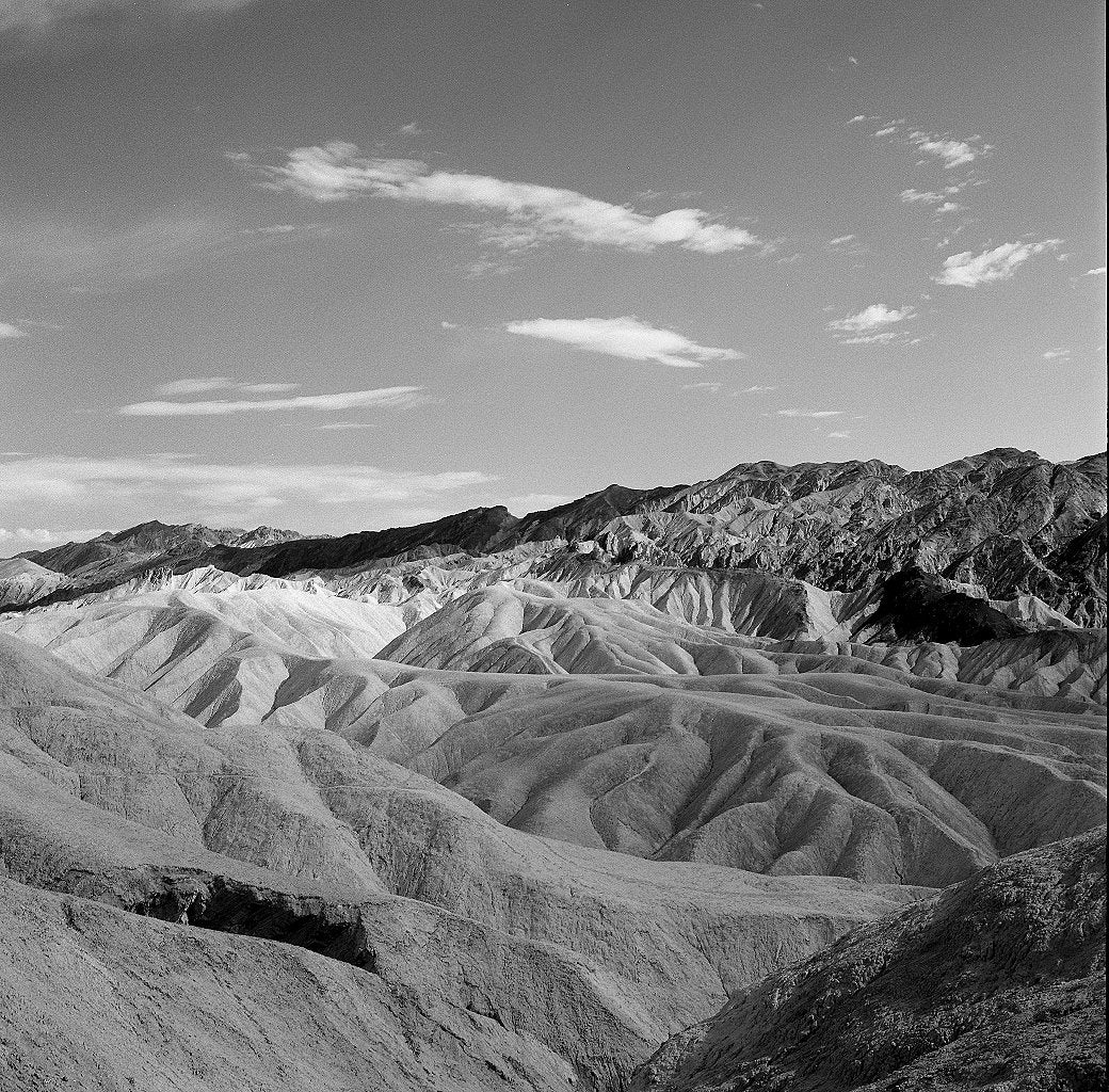 Neopan Acros 100 Black & White Film (120)
