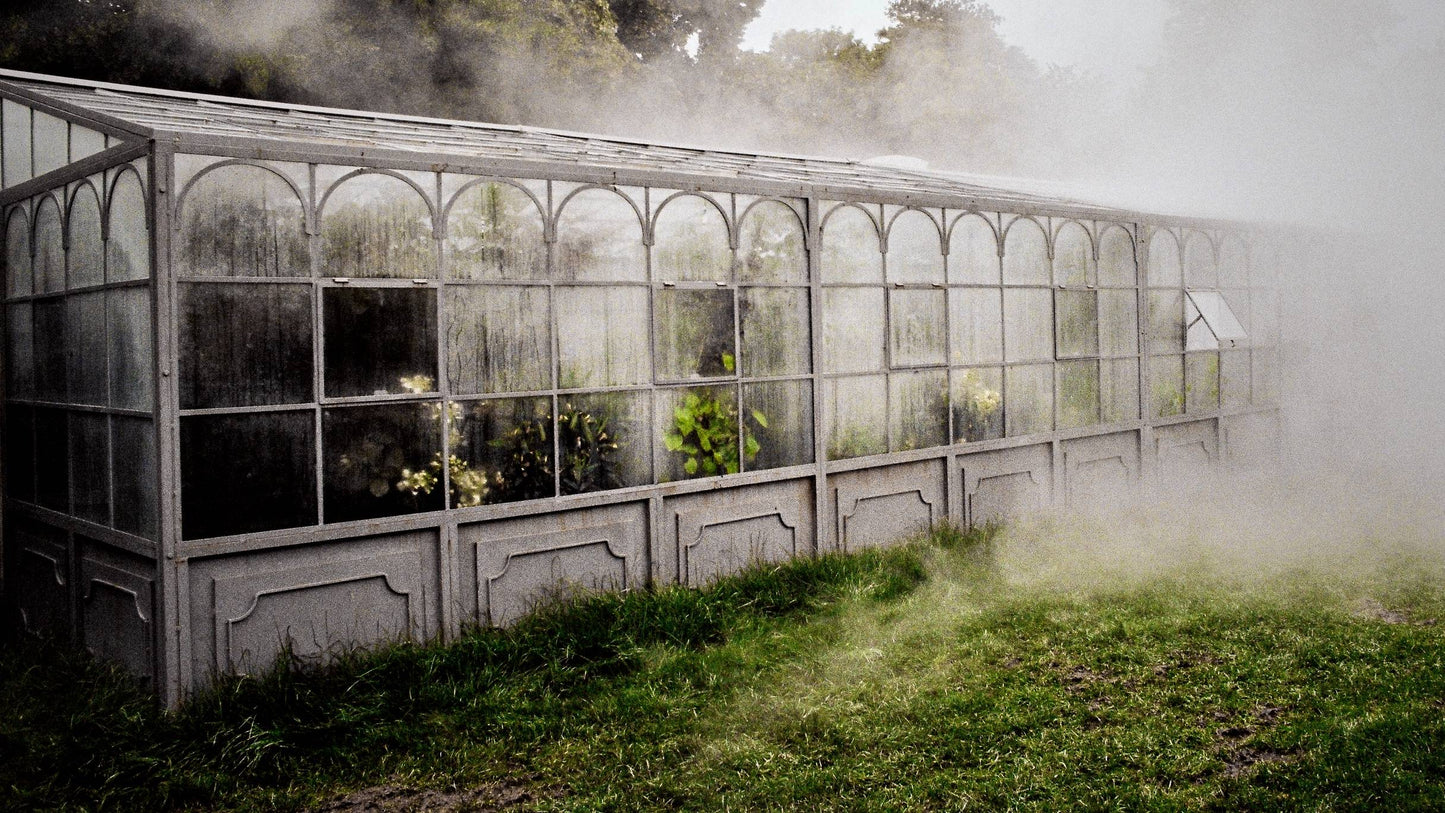 Canon AE-1 Program SLR Camera with Canon FD 50mm f/1.4 Lens – 1414247