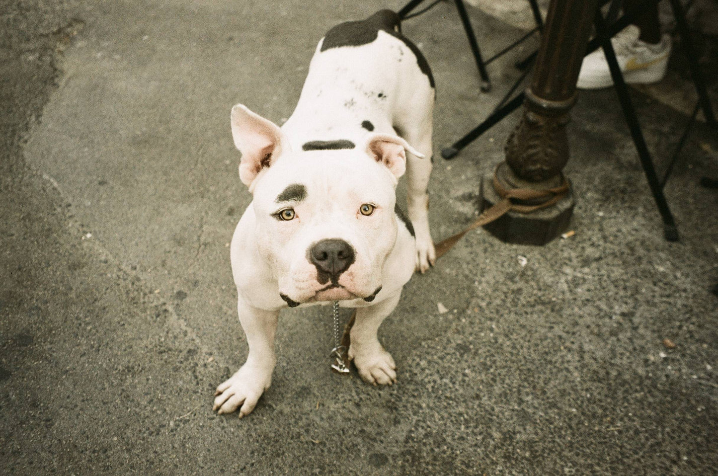 Olympus OZ140S 35mm Point & Shoot Camera with Panorama and Zoom 38-140mm - 4180150