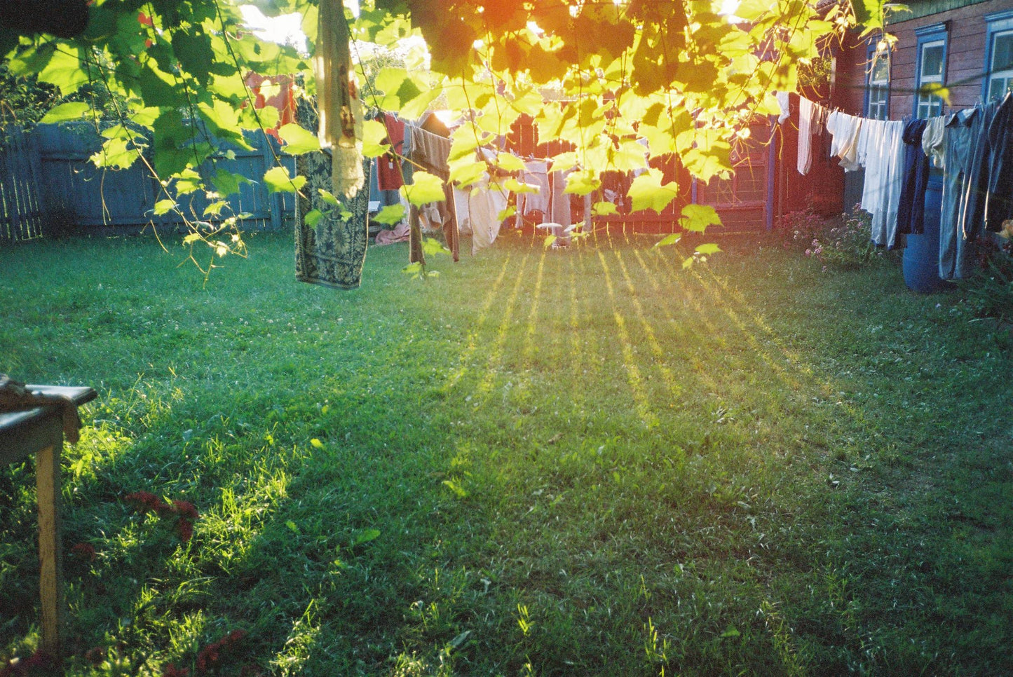 Konica C35EF3 35mm Point and Shoot Camera - 2182565