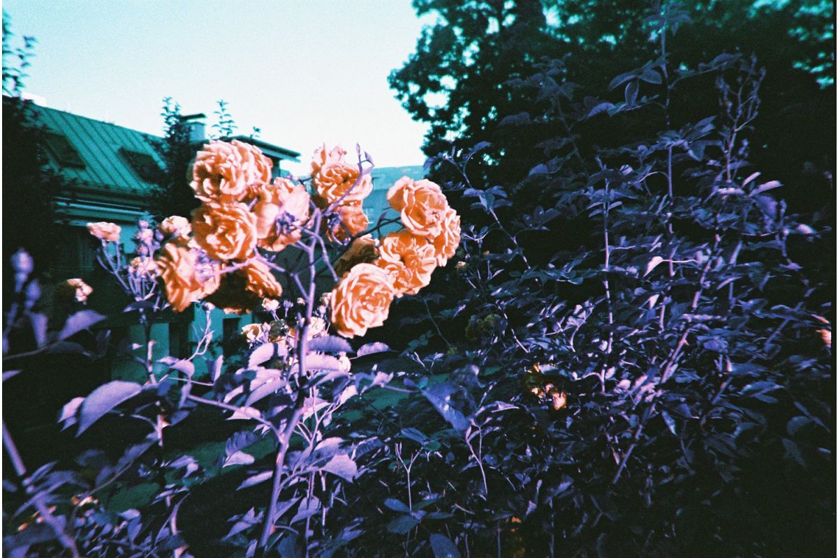 Simple Use Reloadable Film Camera LomoChrome Purple