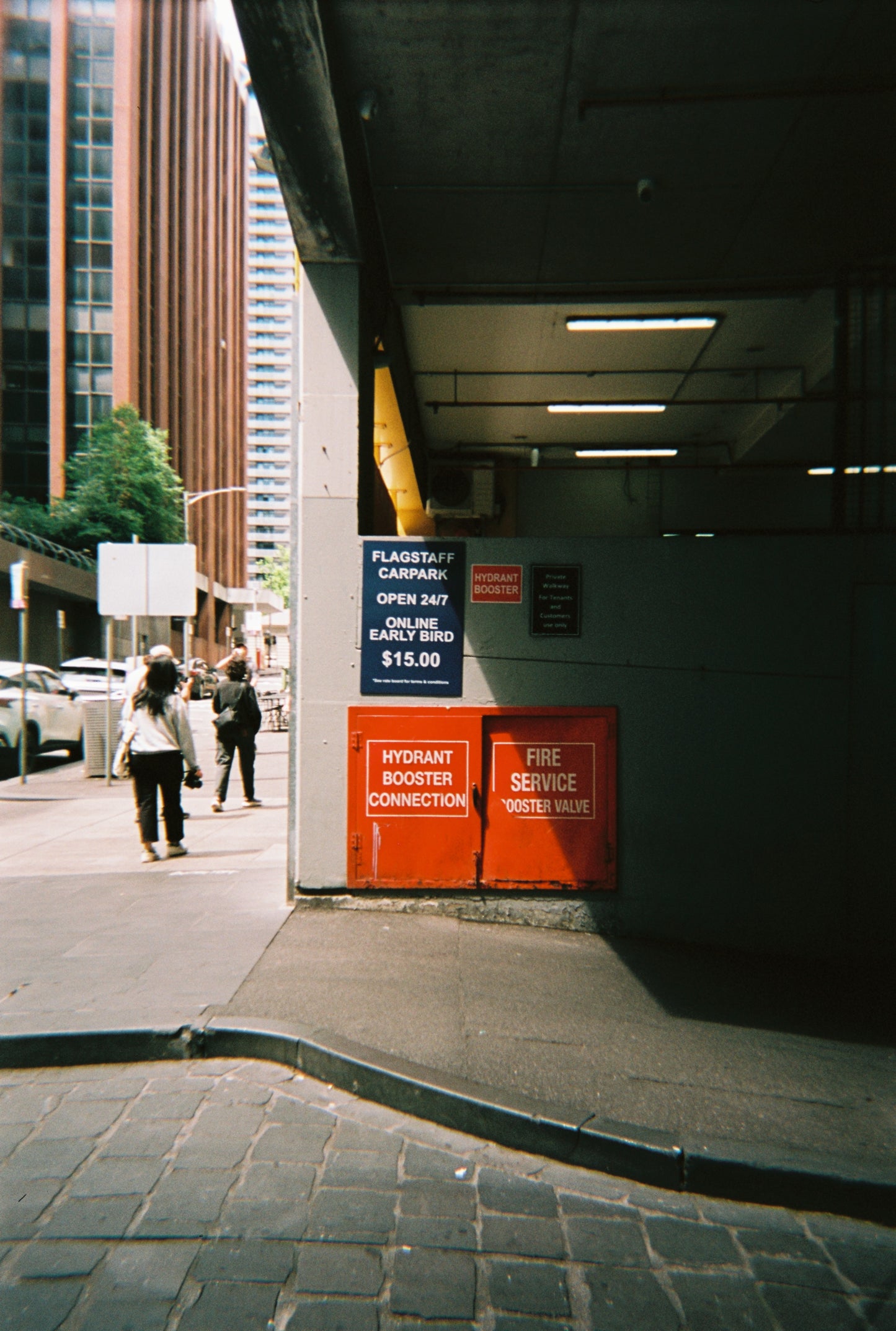 FilmNeverDie DRAGON FLY 100 (35mm, 36 exp.) - Pre-Order - Arriving in 4-6 weeks