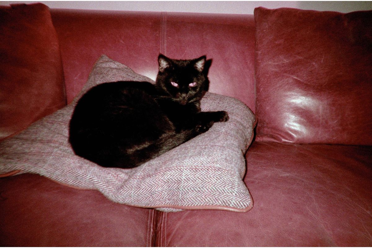 Simple Use Reloadable Film Camera LomoChrome Purple