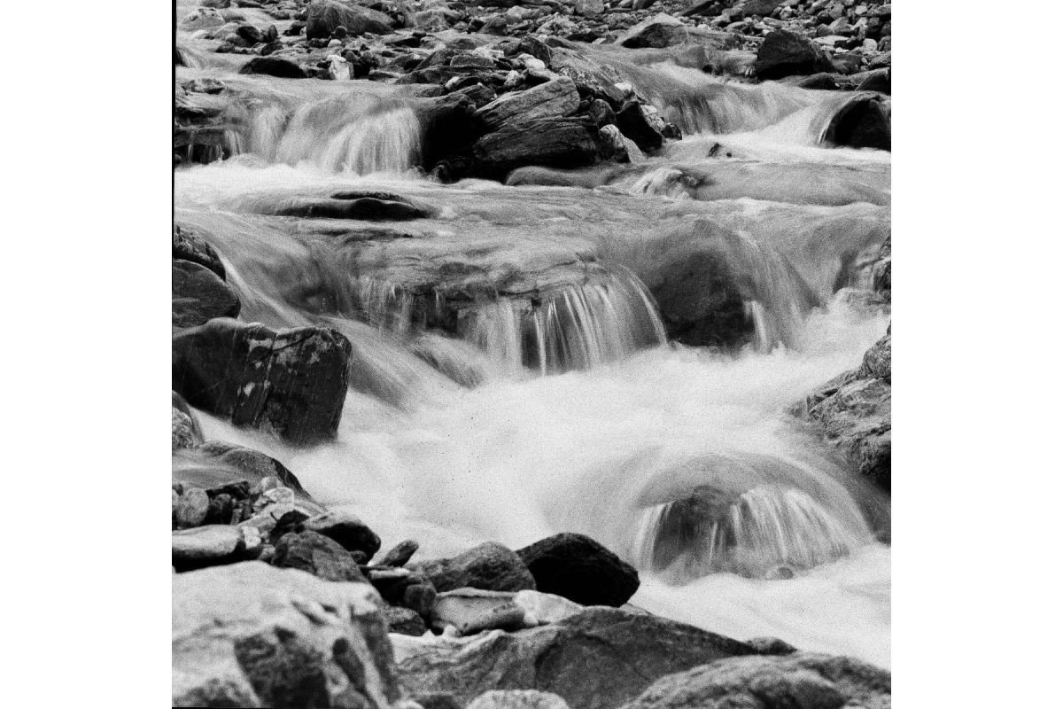 Lomography Lady Grey B&W 120 Film ISO 400 – Pack of 3