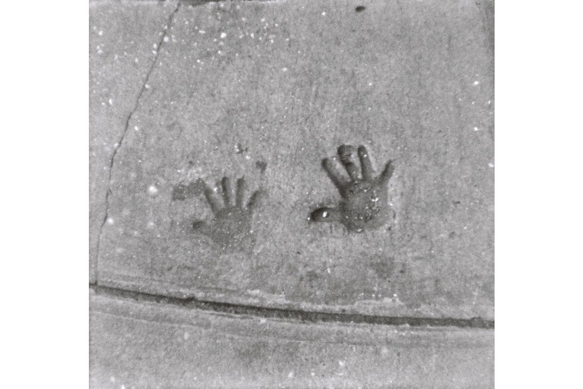 Lomography B&W Orca 110 Film ISO 100