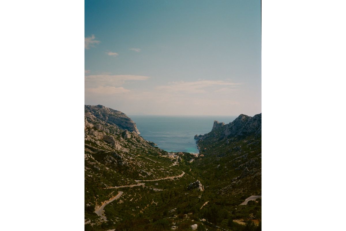 Lomography Color Negative 120 Film ISO 400