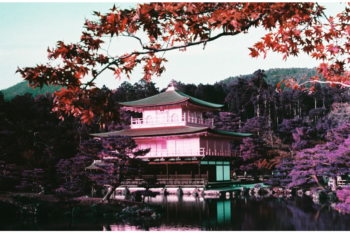 Lomography LomoChrome Purple Pétillant 100–400 (35mm, 36exp.)