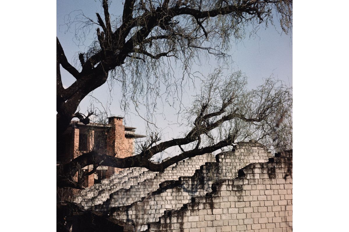 2021 LomoChrome Metropolis 120 Film ISO 100–400