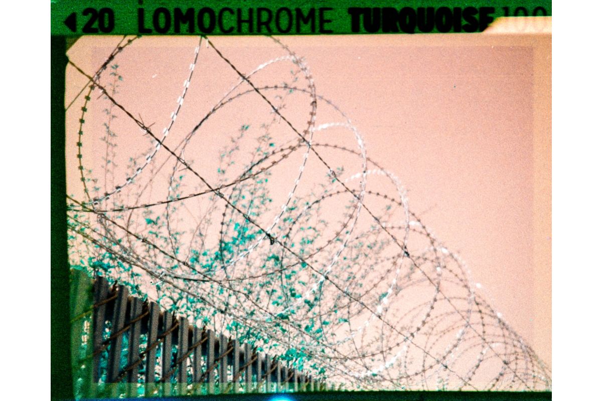 LomoChrome Turquoise 110 Film ISO 100–400