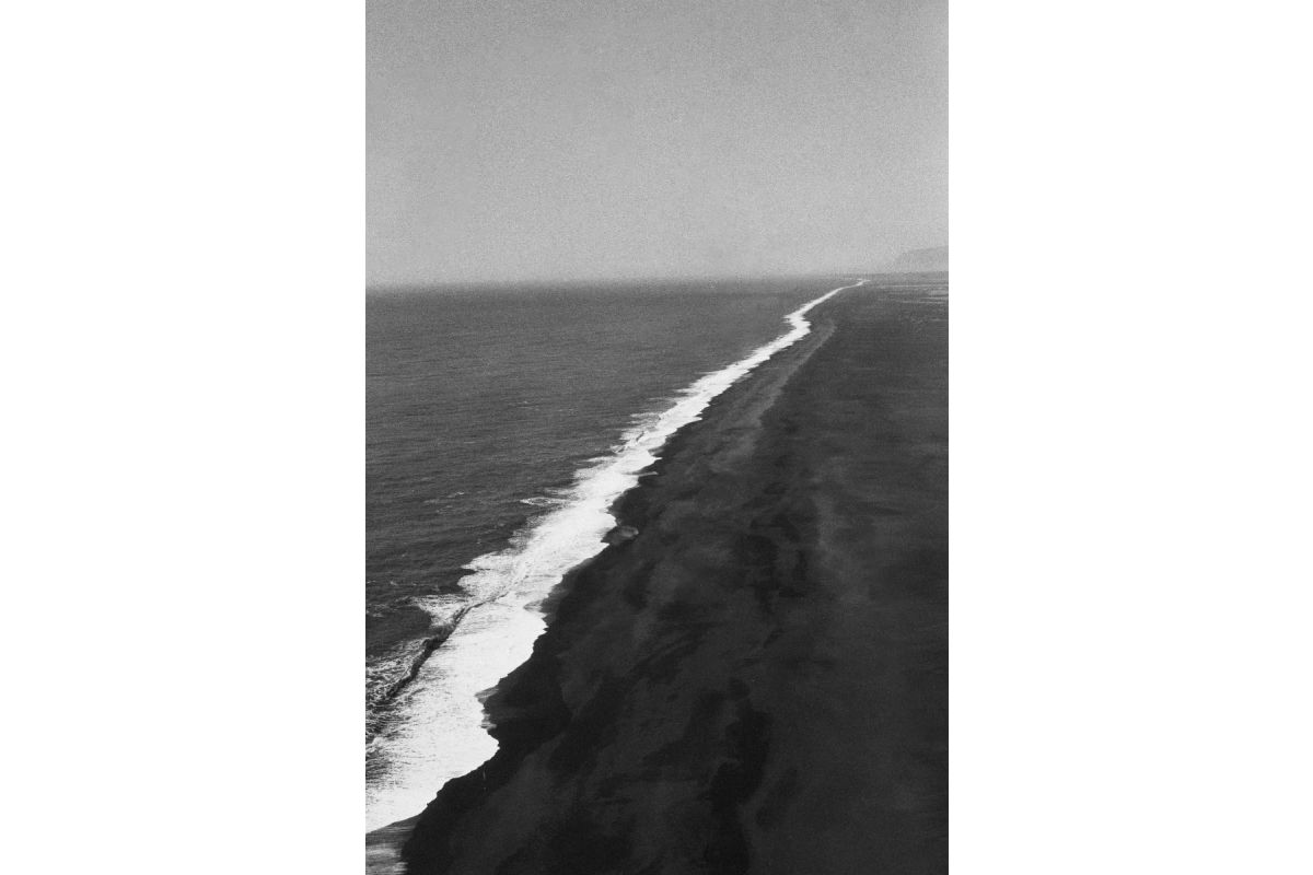 Lady Grey B&W 35 mm ISO 400 – Pack of 3