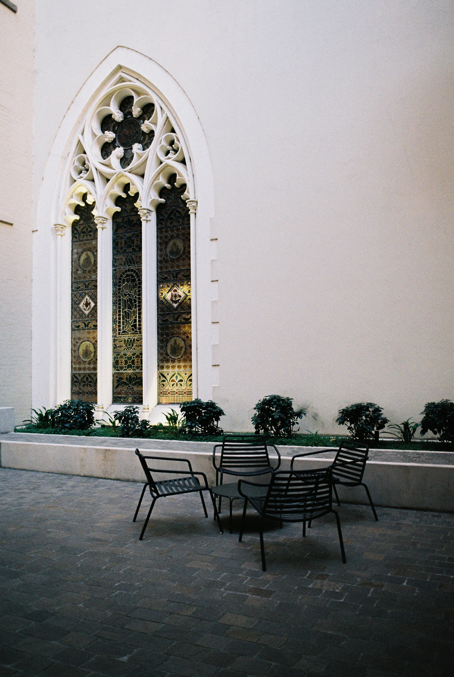 Fuji 200 (3 pack) 35mm, 36 exp.