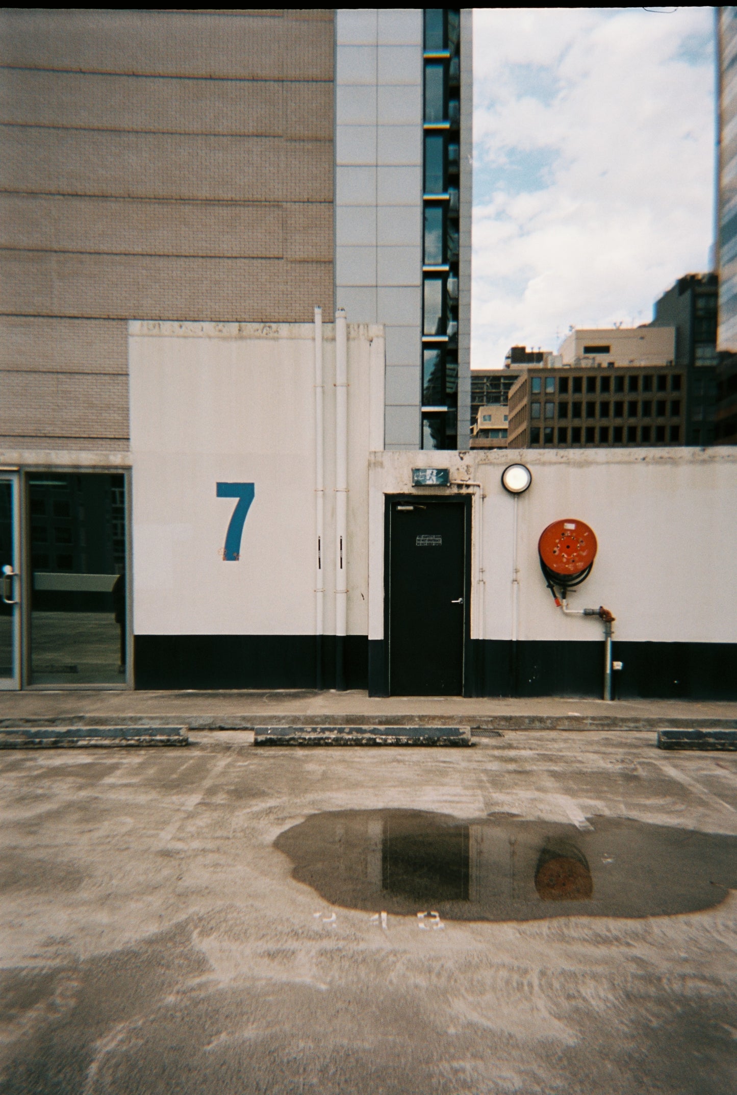 FilmNeverDie DRAGON FLY 100 (35mm, 36 exp.) - Pre-Order - Arriving in 4-6 weeks