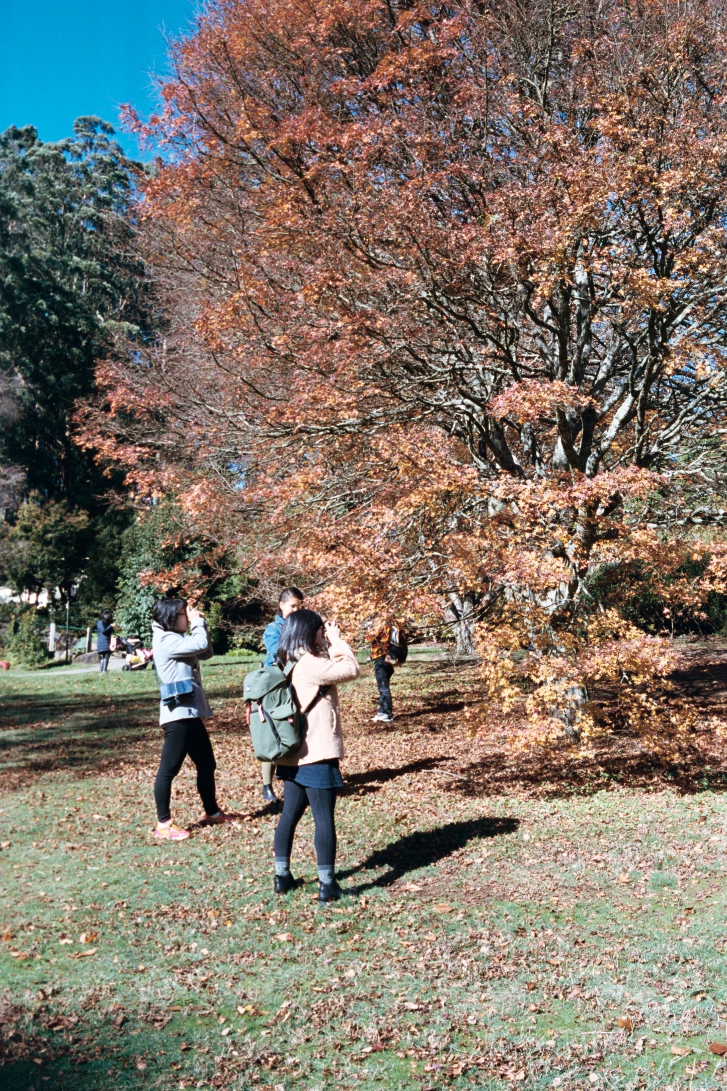 Kodak Portra 400 (5 pack) 35mm, 36 exp.