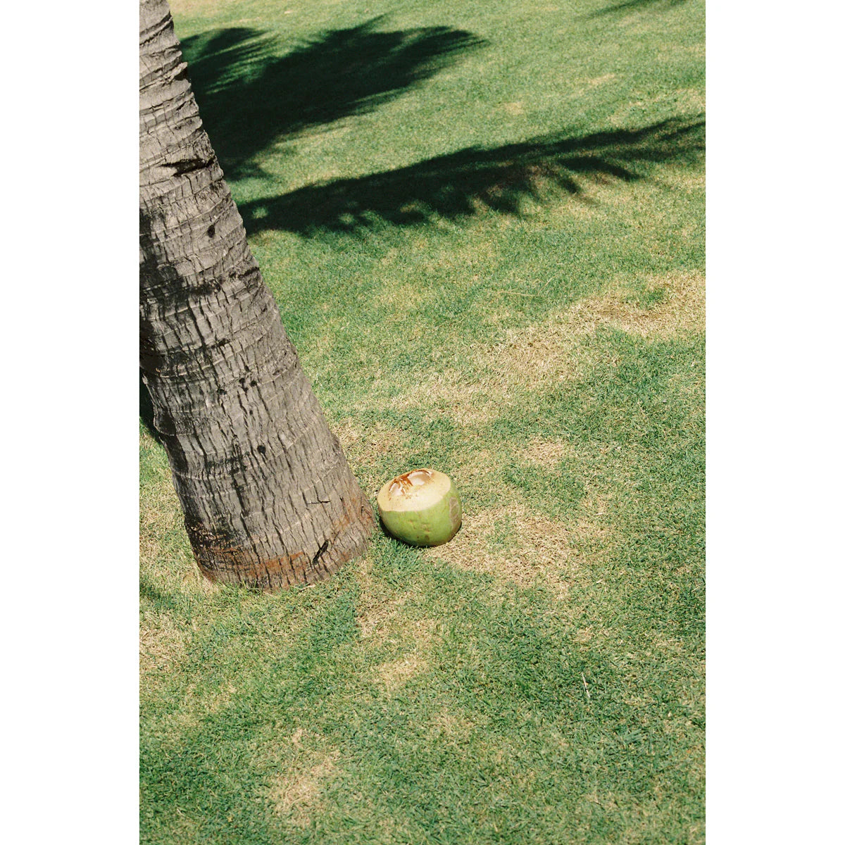 Fragile (Film Safety Capsule) 35mm 36exp