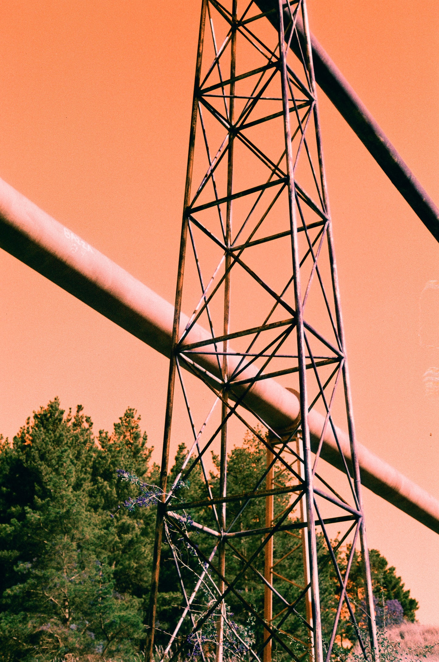 Harman Switch Azure 125 Colour Negative Film (35mm, 36exp.)