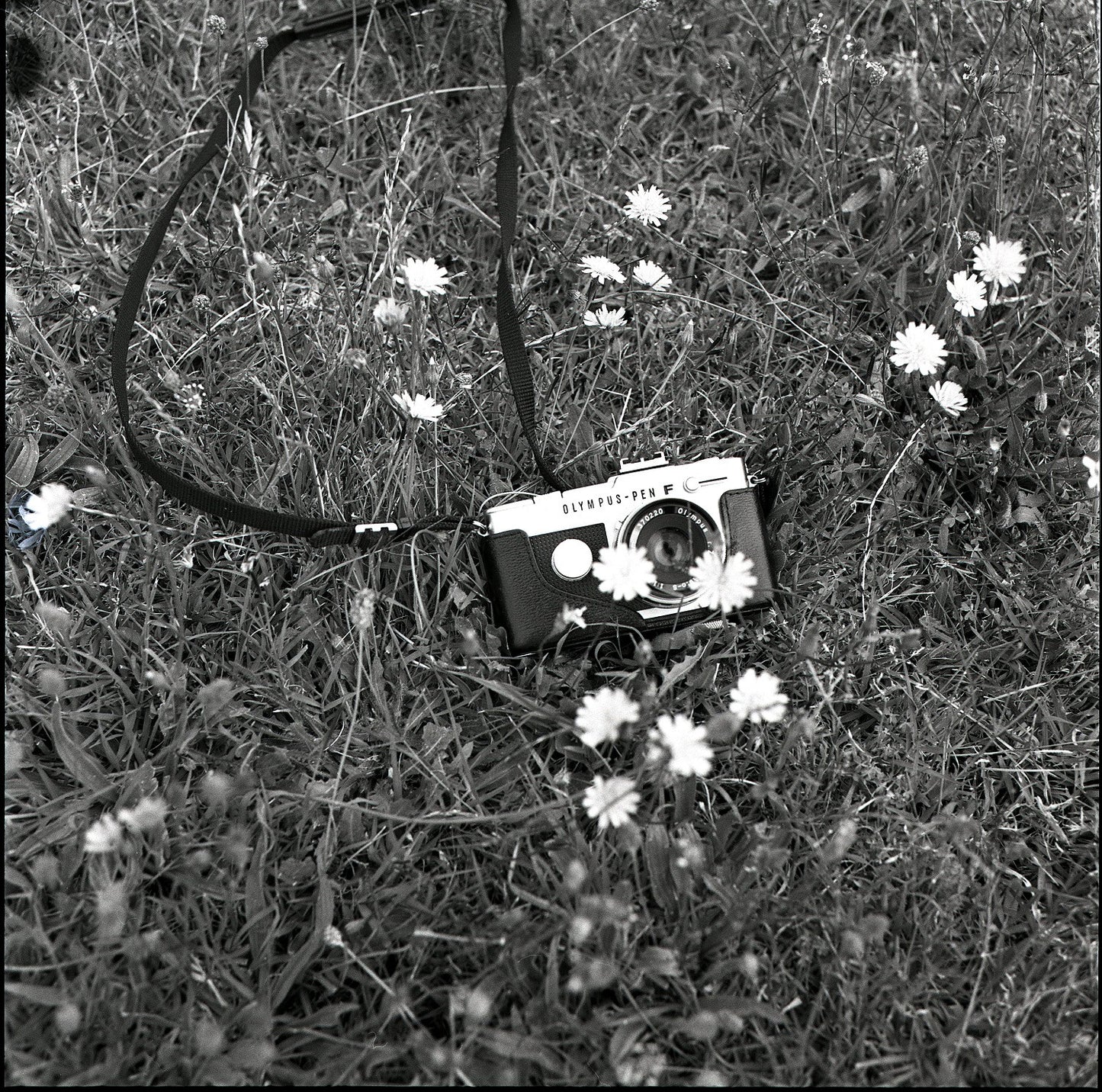 Black & Red (Duo Pack of 120 film)