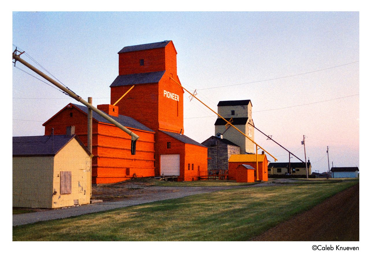 Harman Phoenix II Colour Negative Film (35mm, 36exp.)