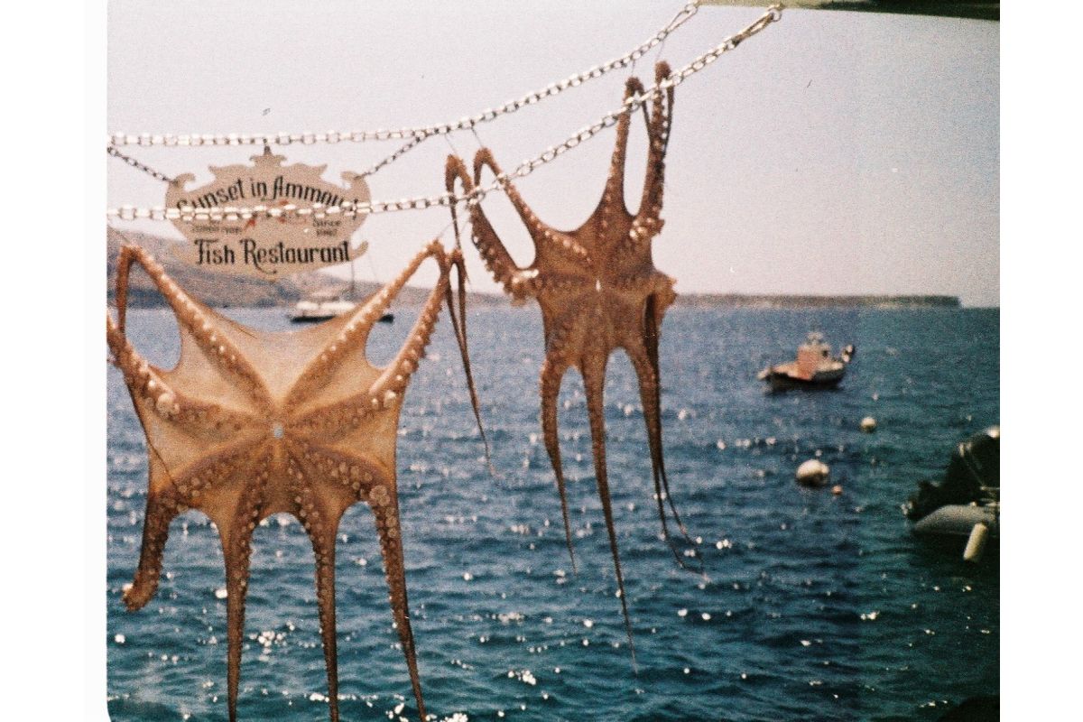 Lomography Analogue Pocket Trio 110 Film