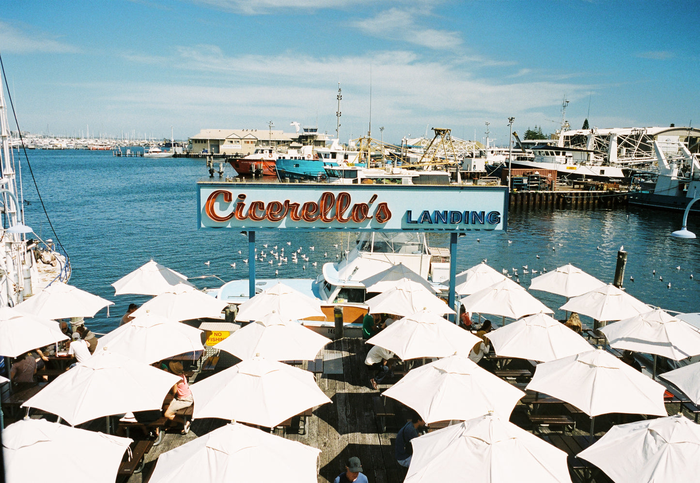 Kodak Portra 400 (5 pack) 35mm, 36 exp.