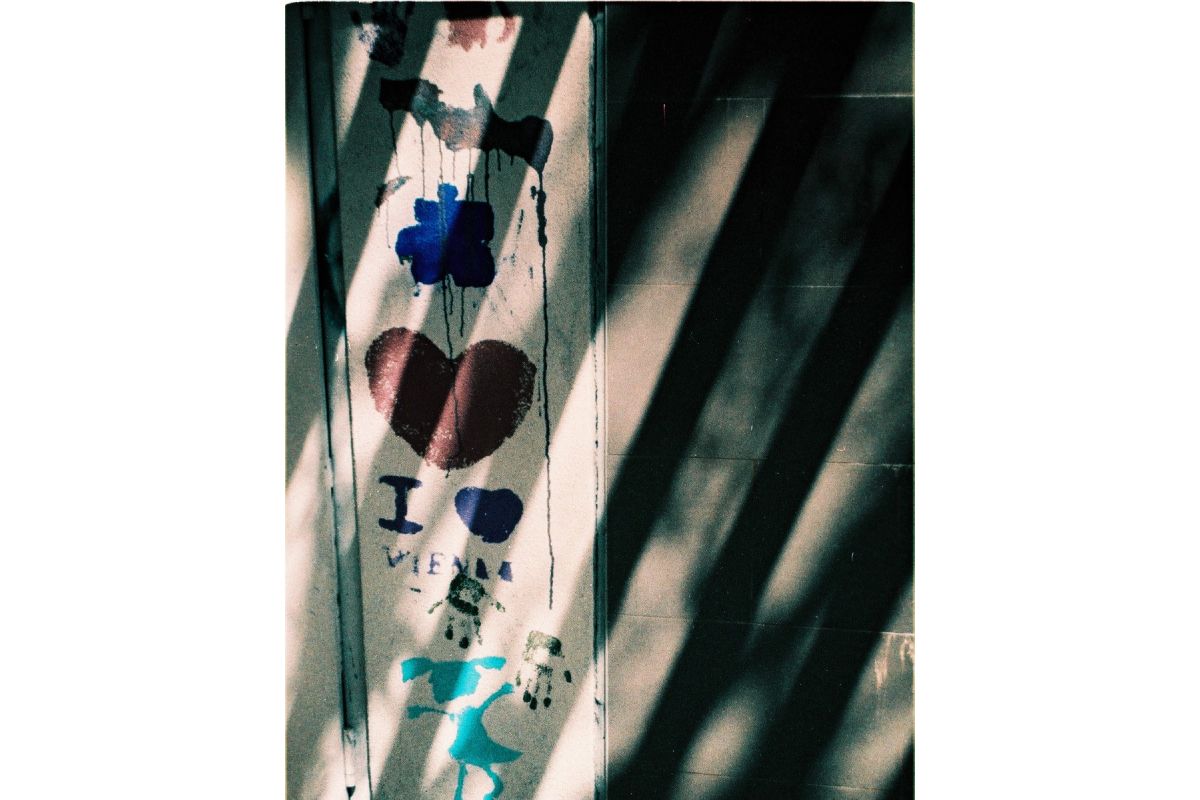 LomoChrome Turquoise 110 Film ISO 100–400