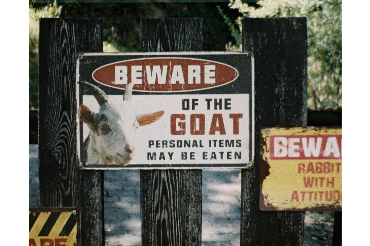 LomoChrome Color ’92 Sun-kissed 110 Film ISO 400