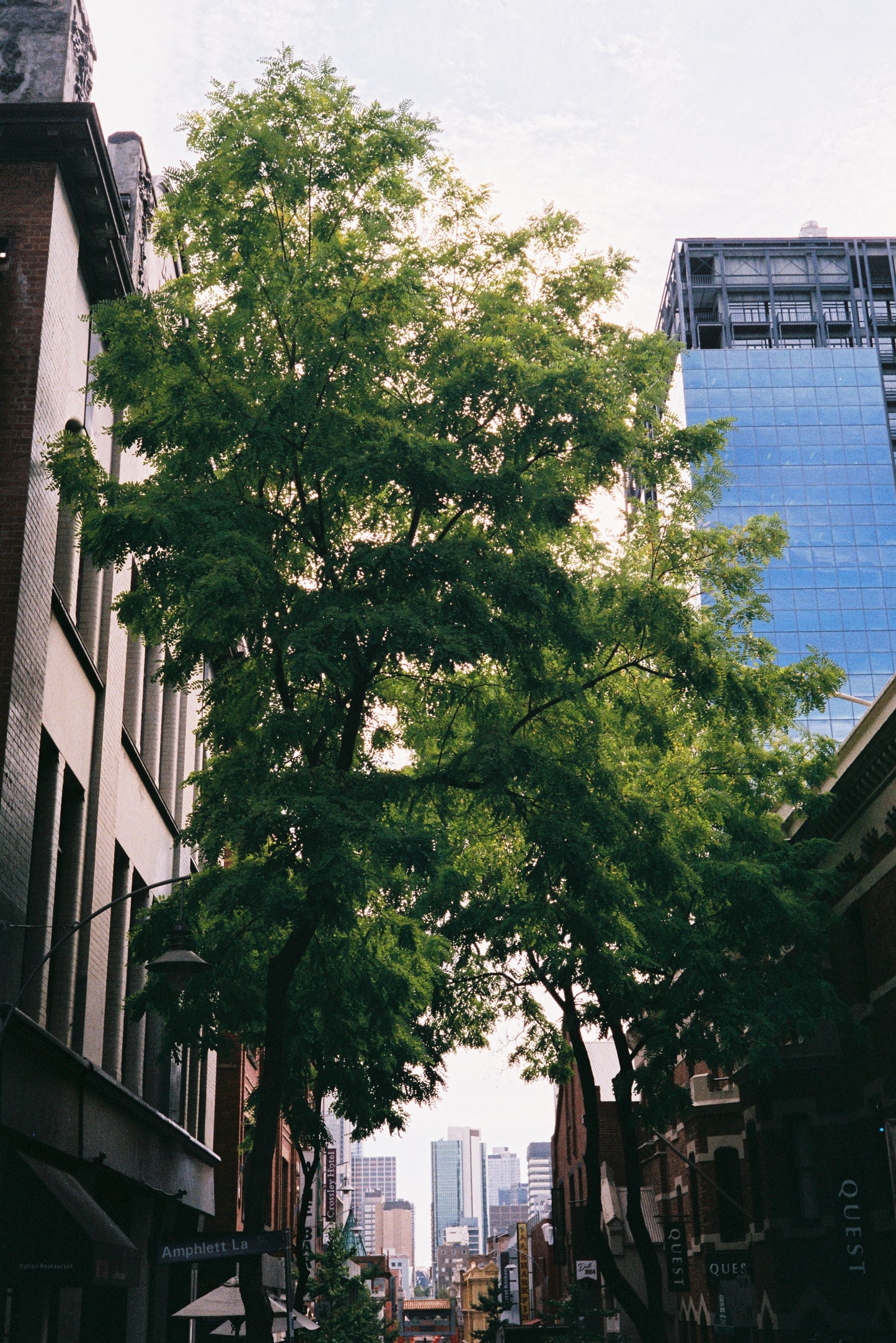 FilmNeverDie IRO 400 Colour Negative Film (35mm, 36 exp.)