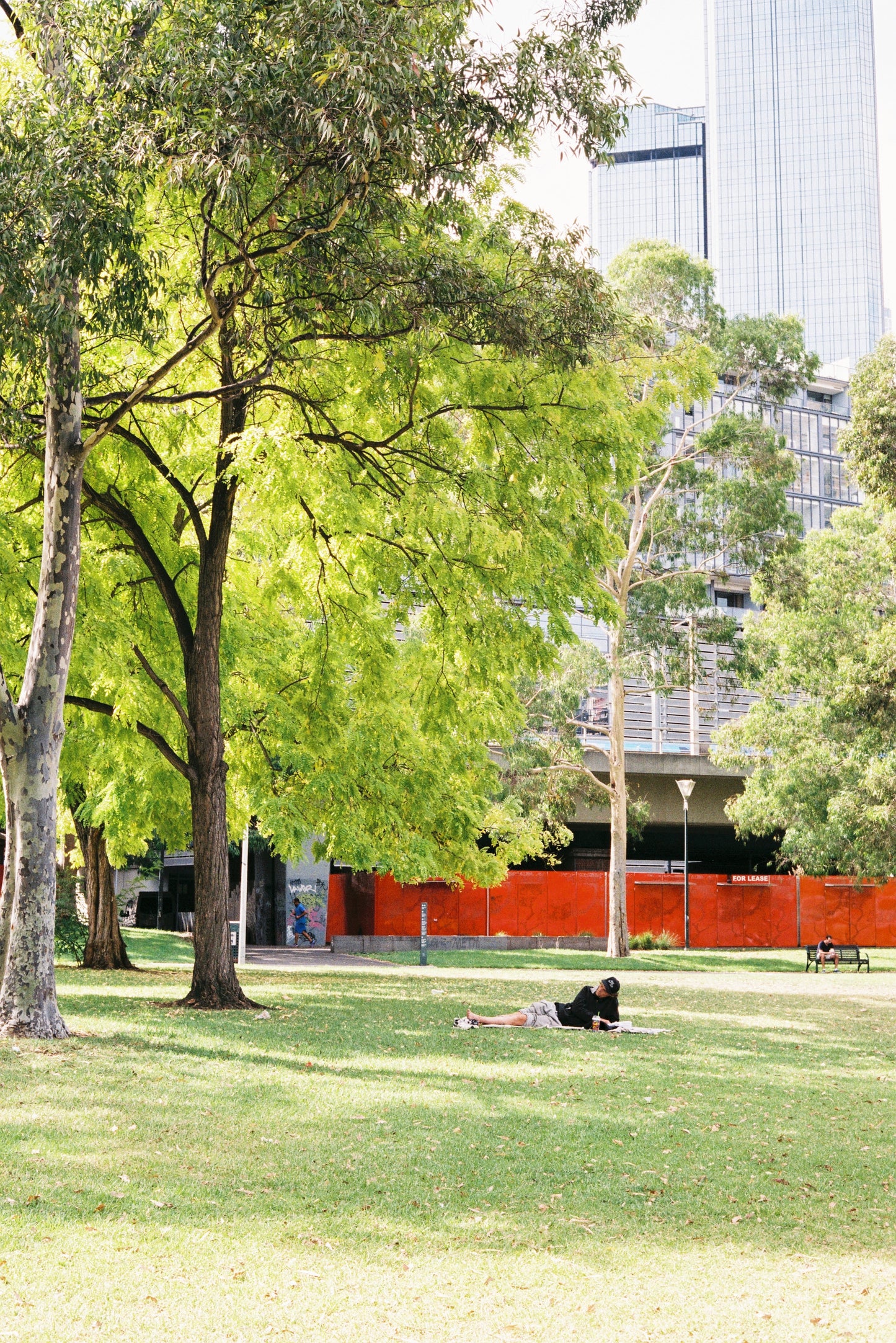 FilmNeverDie IRO 400 Colour Negative Film (35mm, 36 exp.)